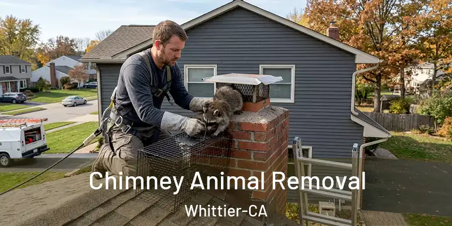  Chimney Animal Removal Whittier-CA
